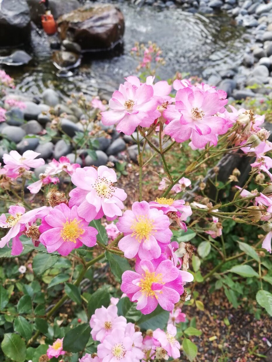 貴方のお悩み解決のお手伝いいたします エンジェルカードで貴方のお悩みの解決お手伝いいたします！ イメージ1