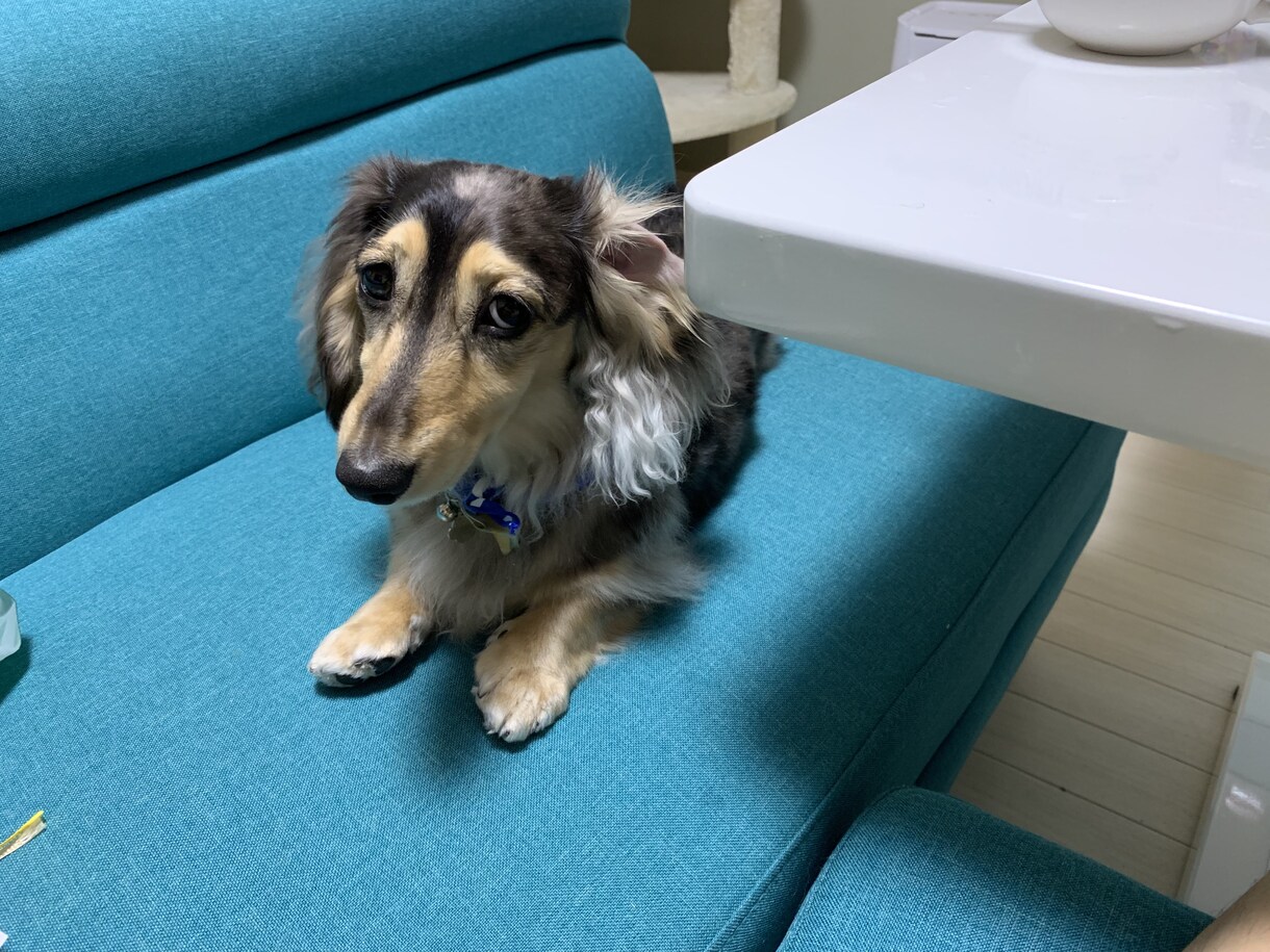 24歳の会社員があなたのカミングアウト聞きます 夢や悩み、誰にも言えない事を、言って気持ちを楽にしましょう イメージ3