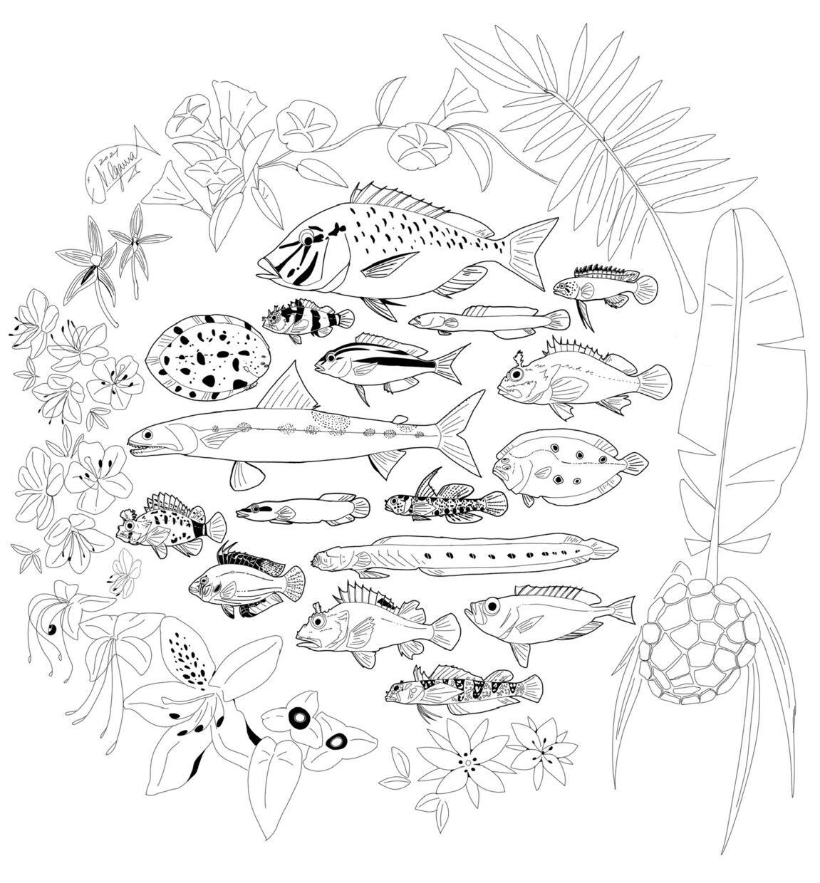 魚のイラストを描きます 1匹〜　リアルとデフォルメの中間くらいの魚の絵を描きます イメージ3
