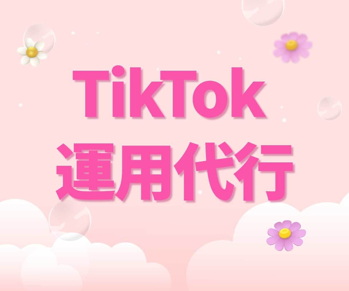 TikTok✨プロが1か月運用代行します ティックトック｜SNSマーケターがサポート｜豊富なプラン イメージ1