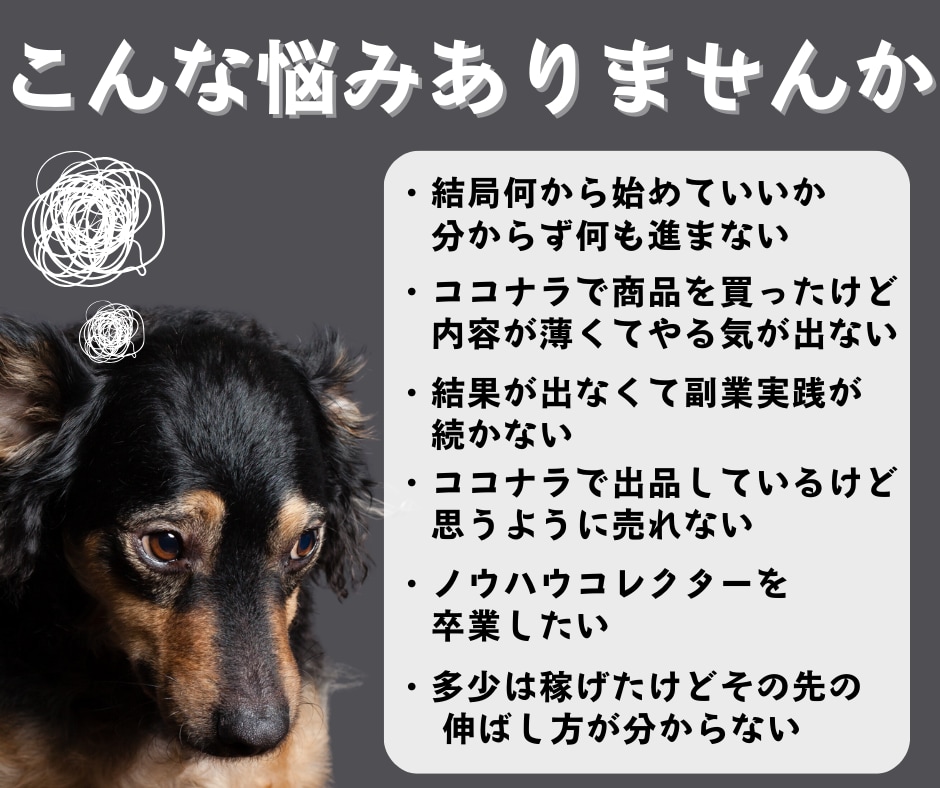 なかなか結果が出ない初心者を救うAI副業教えます ChatGPTを活用し時間が無くでもサクッとできるスキマ副業 イメージ3