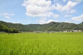 お出掛けついでに稼げる副業教えます お出掛けの際に写真を撮るだけ！一分ほどで出来る副業となります イメージ2