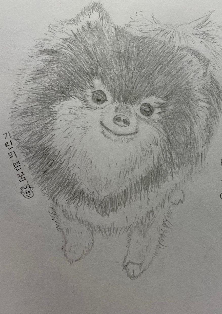 大好きな人や動物を鉛筆画に描きおこします 世界にたったひとつの暖かみのある画に仕上げます！ イメージ2