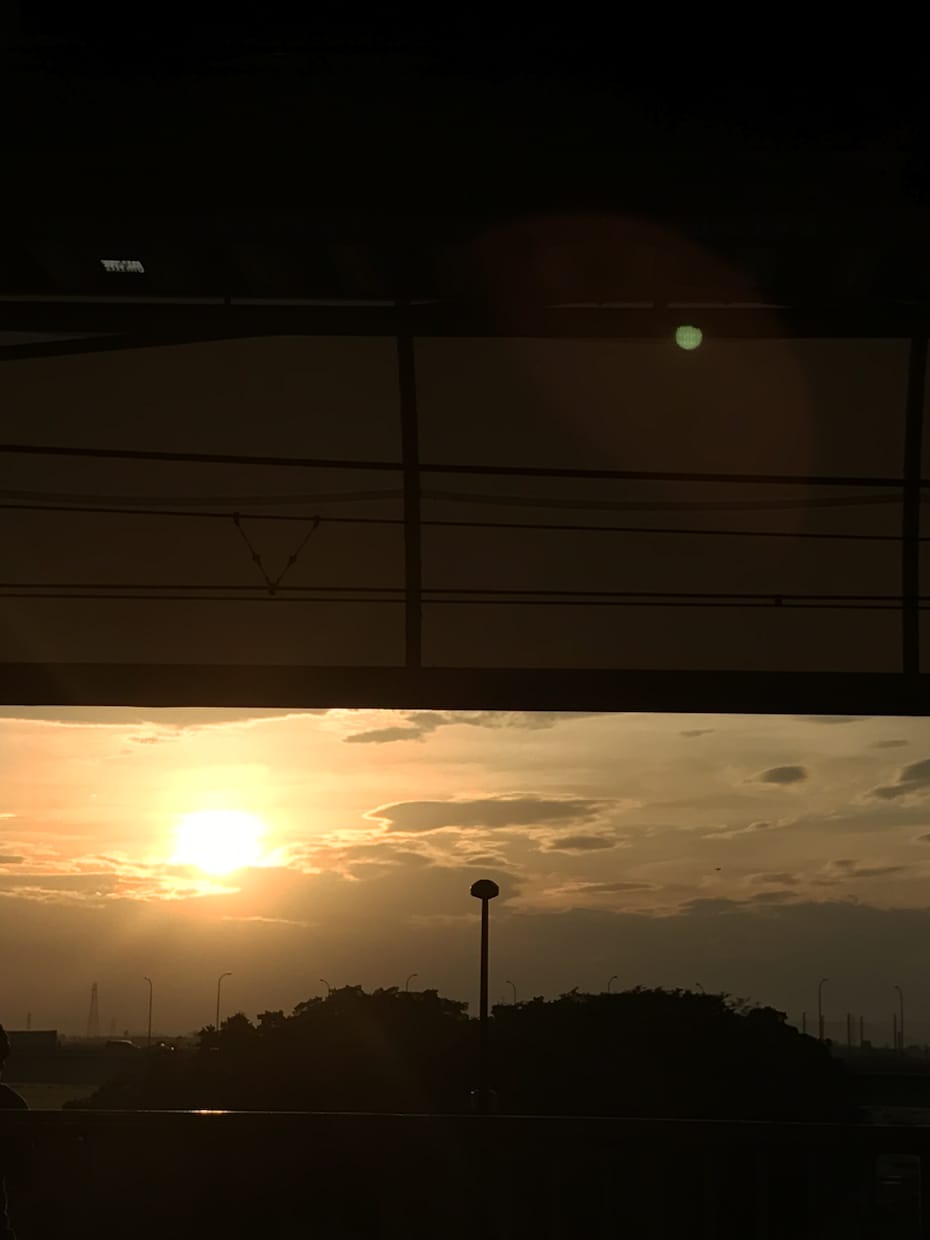 休止ます 休止中。。。。。。。。。。。。。。。。 イメージ2