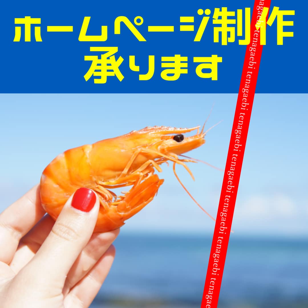 ホームページをつくります とりあえず、自分のホームページが欲しい方・必要な方へ イメージ1