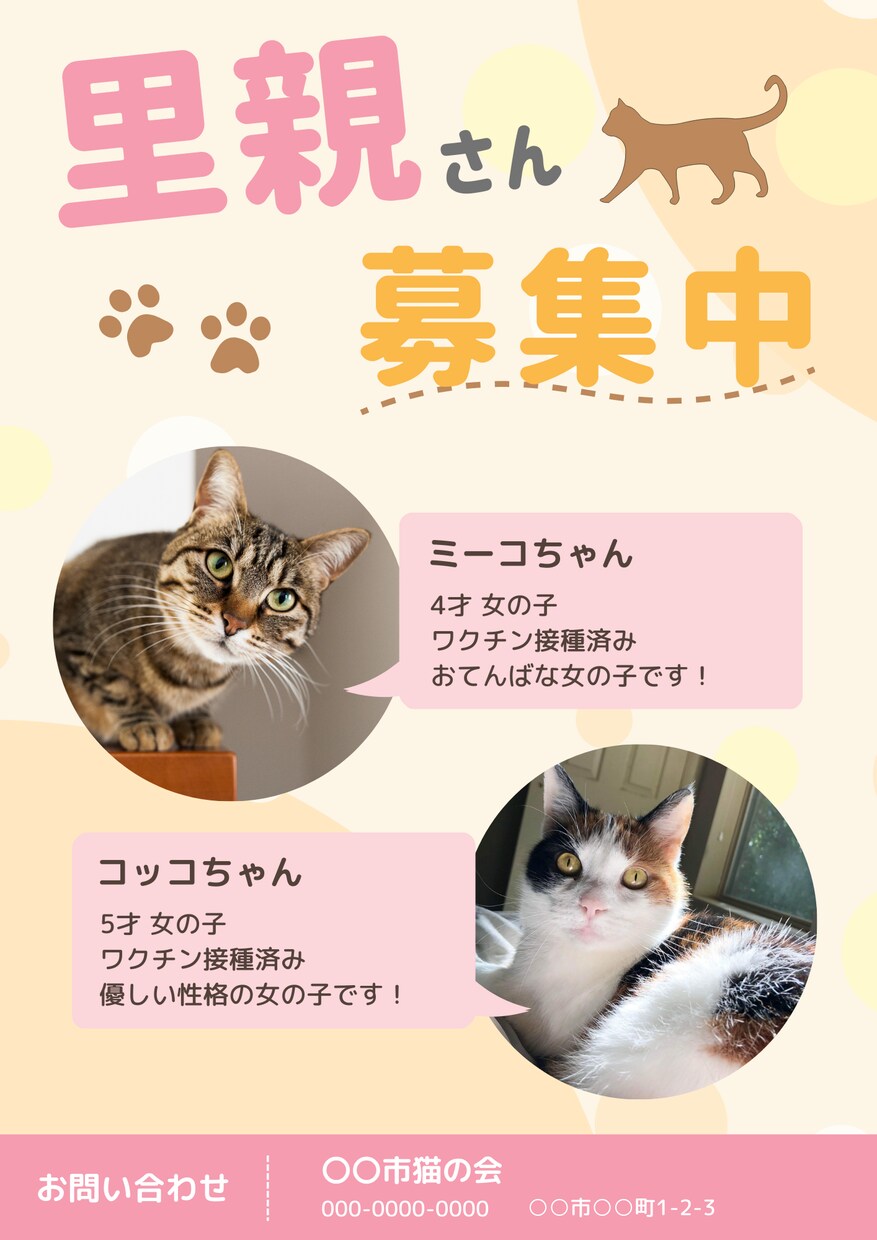 思わず手に取りたくなる犬猫の里親募集チラシ作ります 動物のイメージに合わせてデザイン変更可能です！ イメージ2