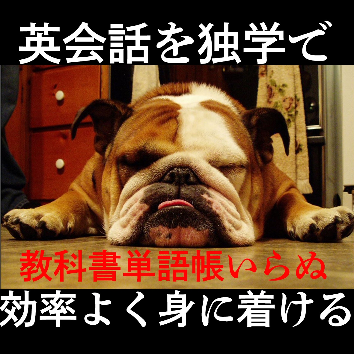 英会話を楽しく効率よく学習する方法を教えます 独学！4か国語話すマルチリンガルが教える 海外旅行も怖くない イメージ1