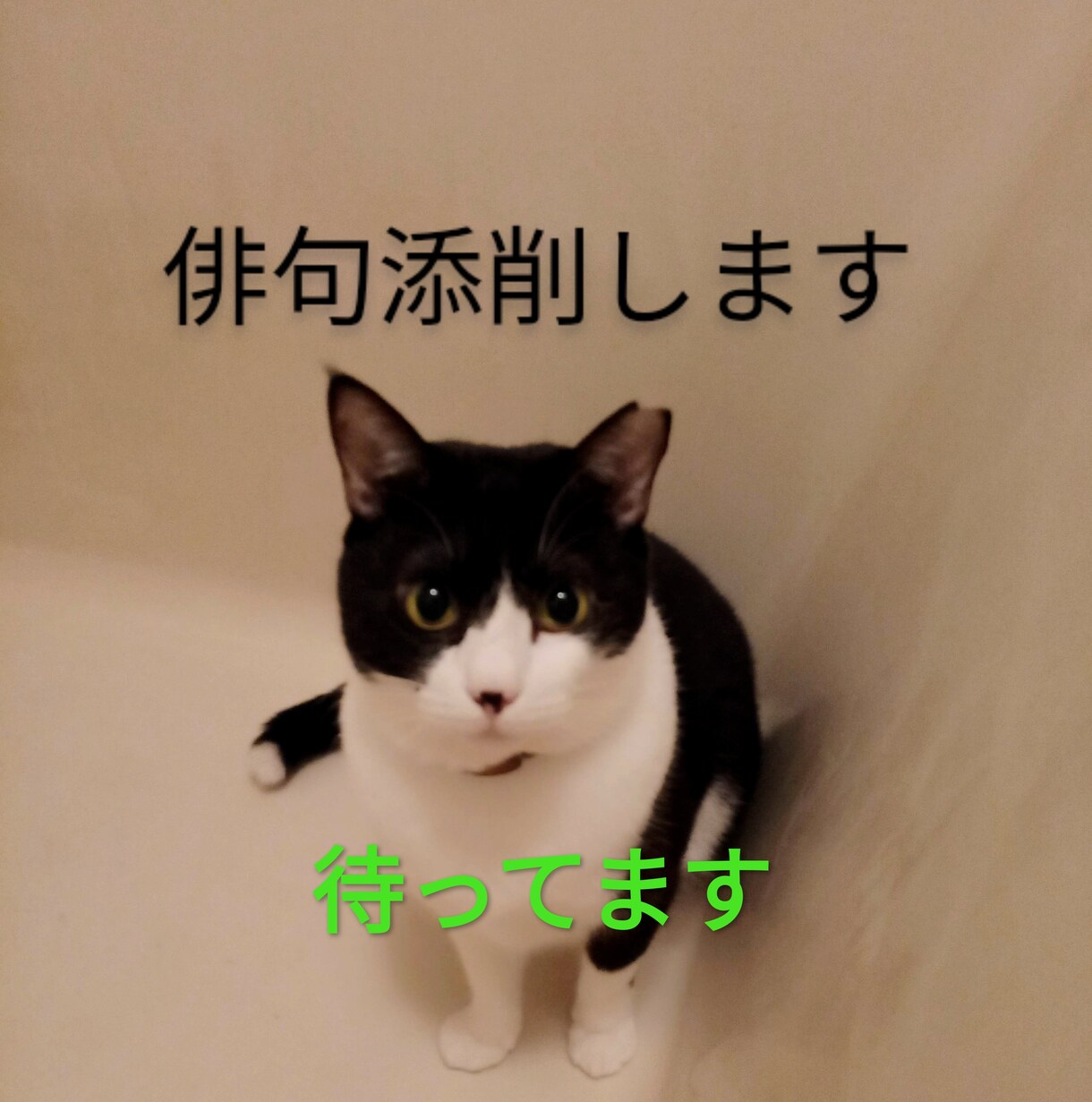 あなたの「とりあえず詠んでみた俳句」を添削します 初心者限定、まずはお試しで一句メッセージで送ってみてください イメージ1
