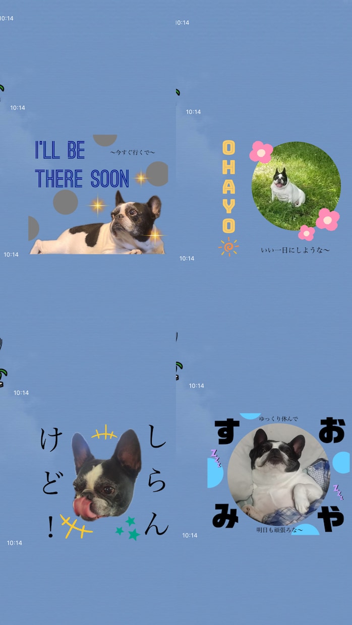 大切な家族(ペット)のスタンプ作ります 大切な家族を日常に。写真でペットのスタンプをお作りします イメージ5