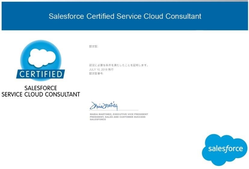 Salesforceに関するご相談にお応えします 認定システムアーキテクト,大手コンサル出身! イメージ5