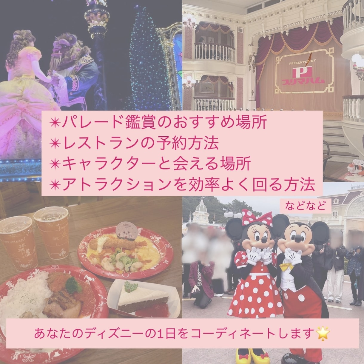 ディズニーを全力で楽しむコツを教えます サプライズや久しぶりのディズニーを、最高の1日にします！ イメージ2