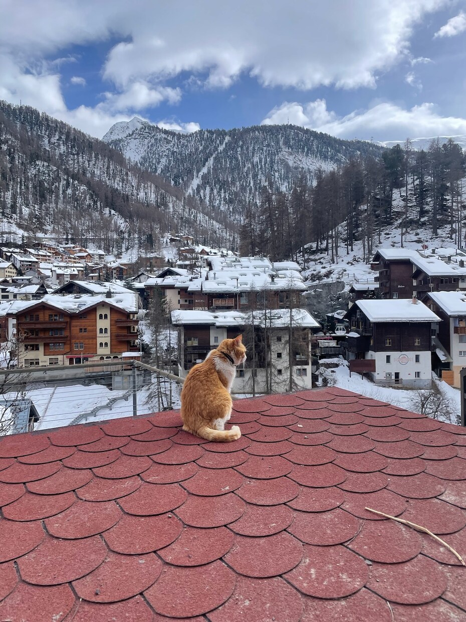 一人旅女子向けの海外旅行術教えます ヨーロッパ旅行予定者必見！旅の豆知識全て教えます♪ イメージ2