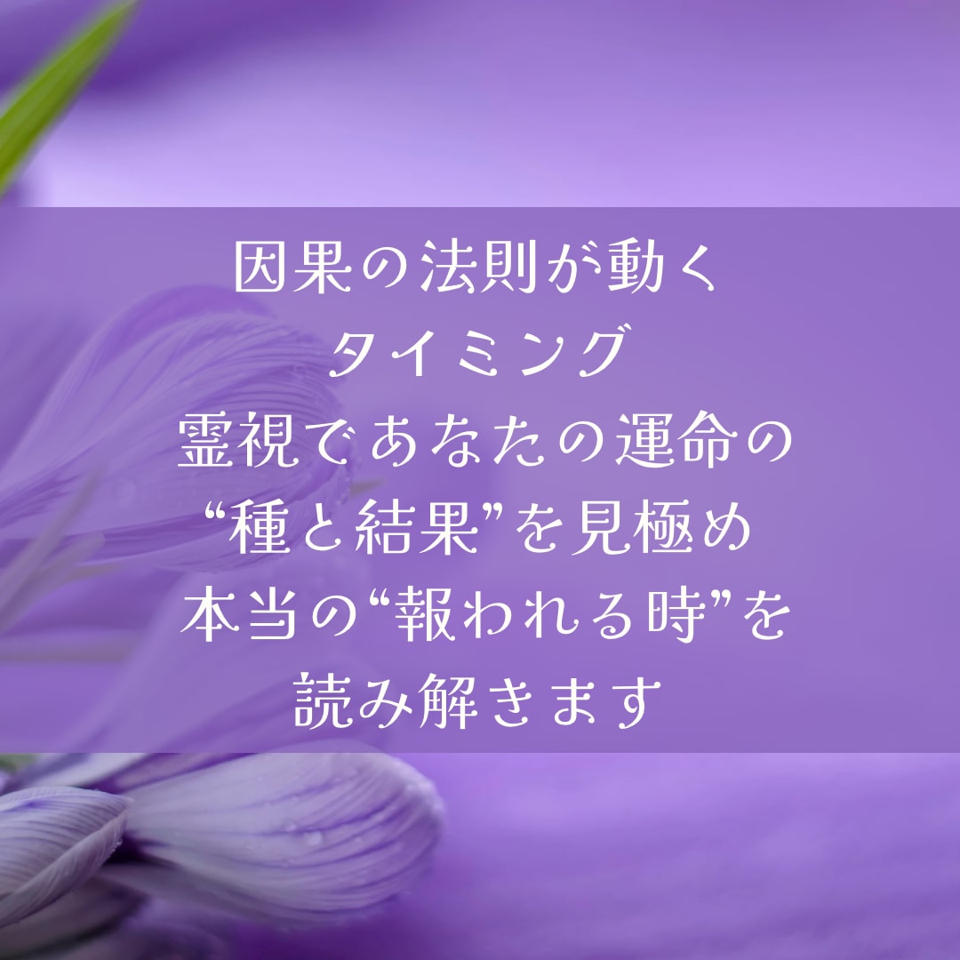 因果の法則リーディングします 報われない努力・不公平感に答えを出す霊視 イメージ3