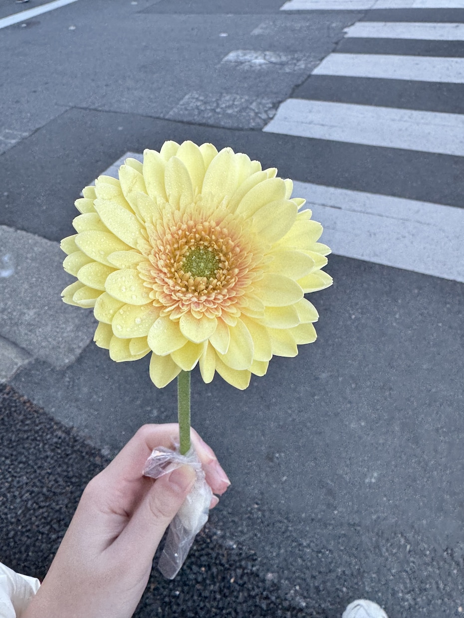 愚痴を受け止め前向きな気づきを届けます 安心して話せるあなただけの時間 イメージ1