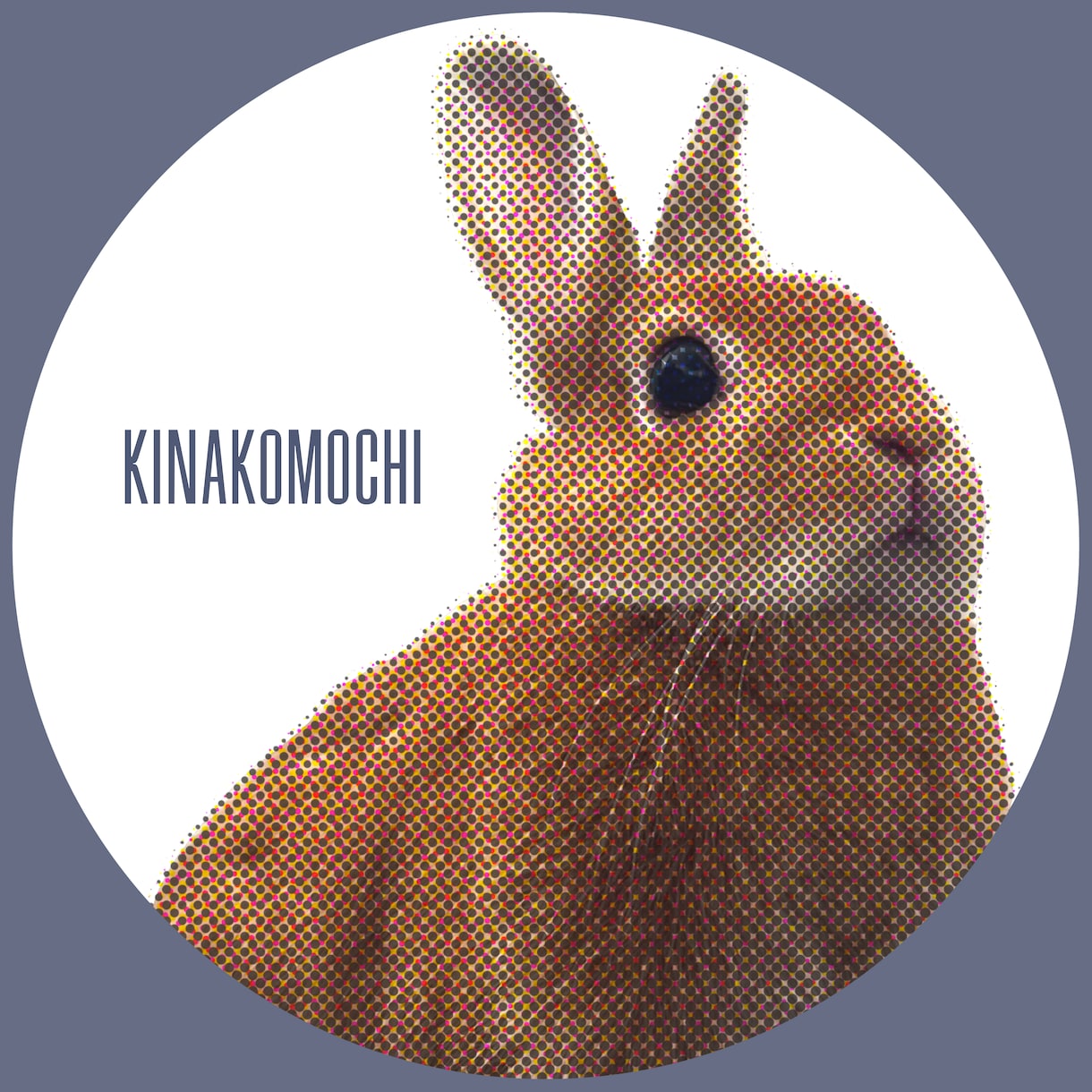 お写真からポップアート風アイコンを制作いたします 動物も人もOK！使いやすくおしゃれなシンプル丸アイコンに◎ イメージ2