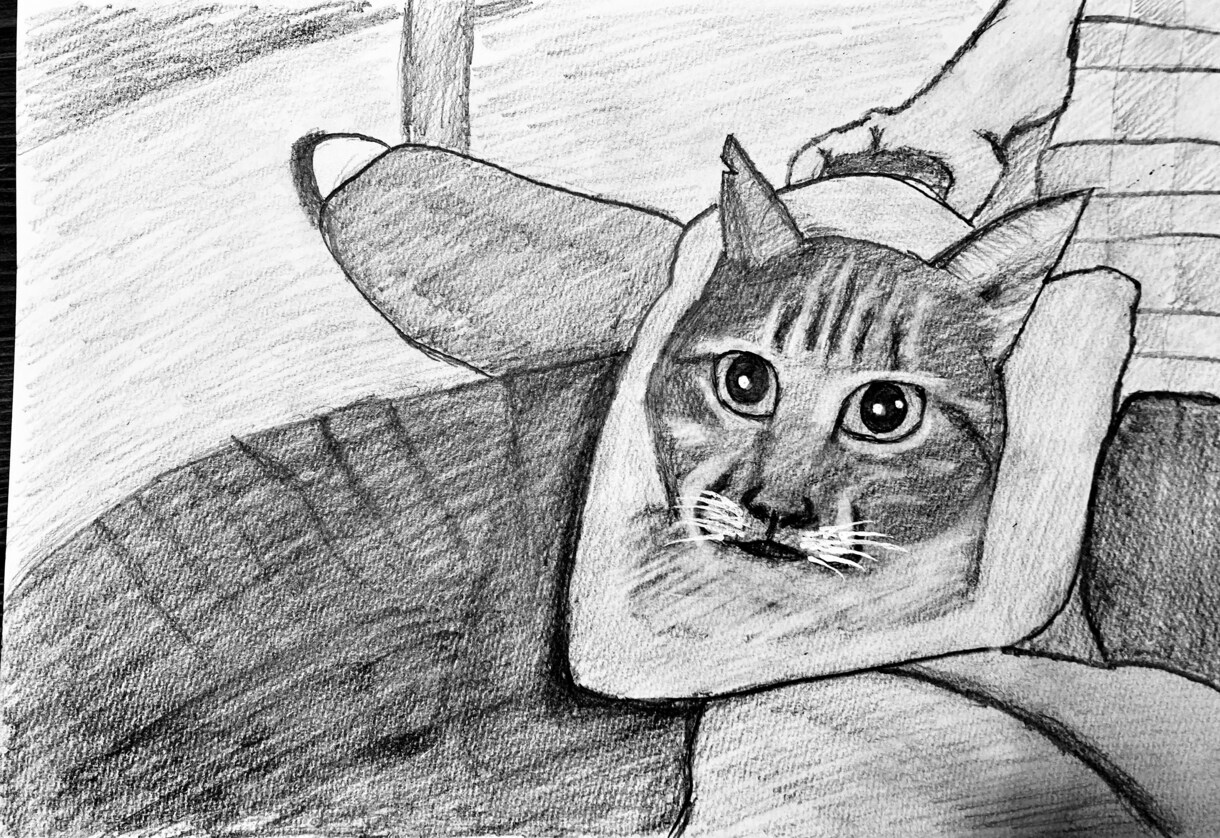 動物や似顔絵を色鉛筆で優しく描きます 育児をしているパパが色鉛筆でユーモアな絵を描きます^_^ イメージ7