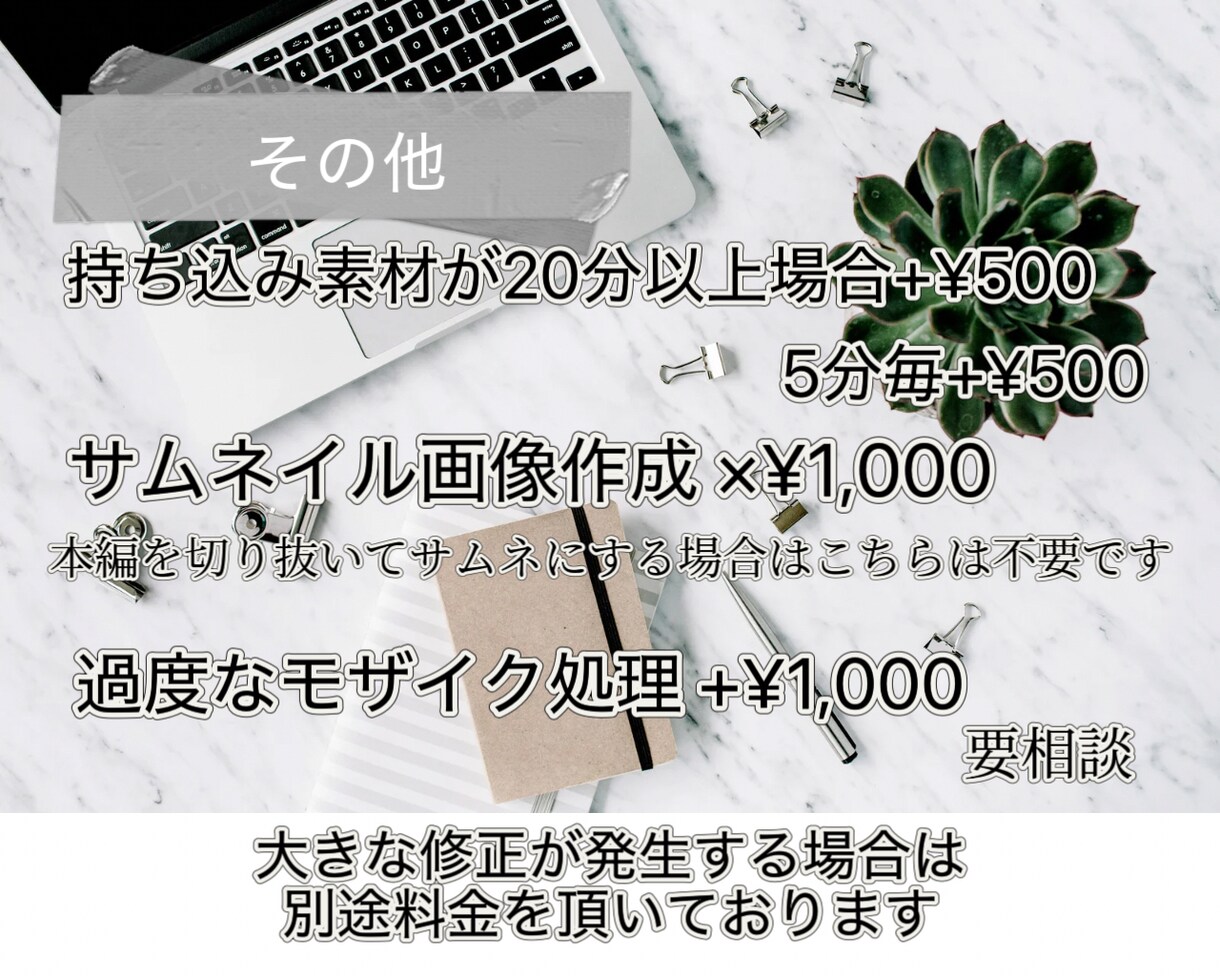 SNS用動画編集します ショート動画/TikTok動画を中心に!! イメージ3