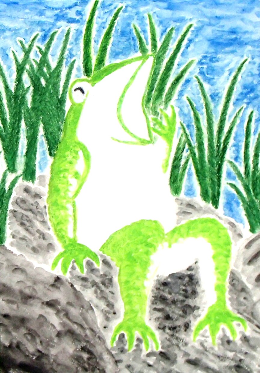 ミドリガエル休息中、の水彩画をおすすめ致します 今では見られなくなった可愛い蛙の、癒し系水彩画です。 イメージ1