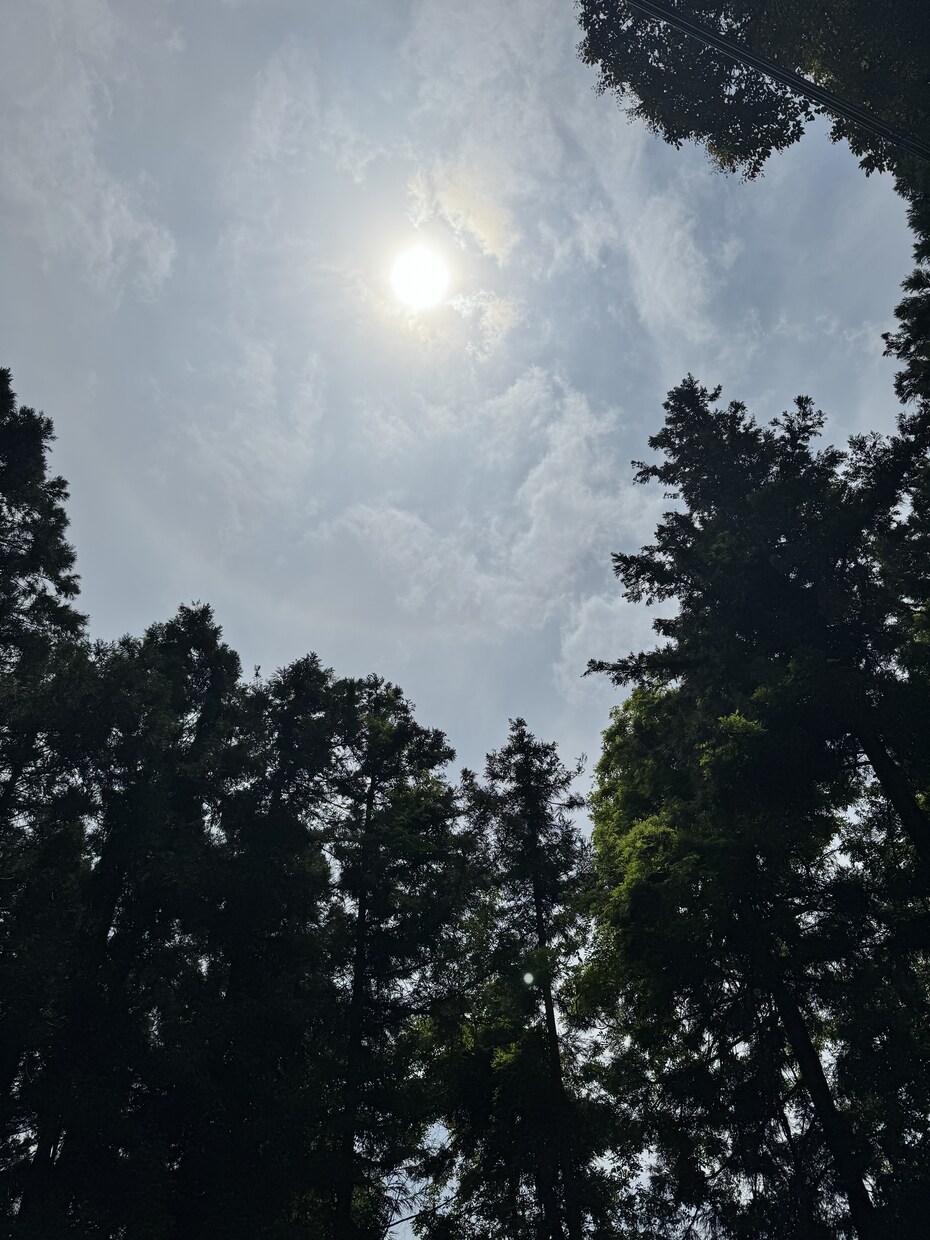 透視・霊視であなたの今後をお伝えします 現状を打破したい方本当にこれでいいのか、などの答え合わせを イメージ3
