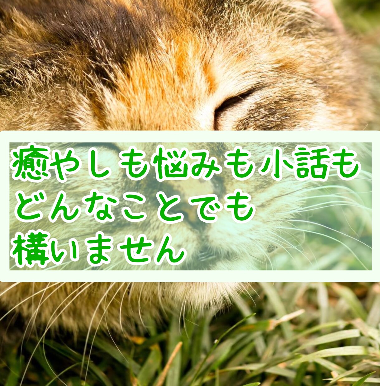 お話を聞きつつ、タロット占いをします 簡単なタロット占いをしながら、お話を丁寧に聞きます。 イメージ5
