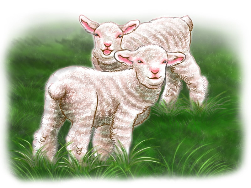 聖書・教会・お葬式・素材などのイラストを描きます 落ち着いた色合い、美しい、可愛い絵を表現致します。 イメージ8
