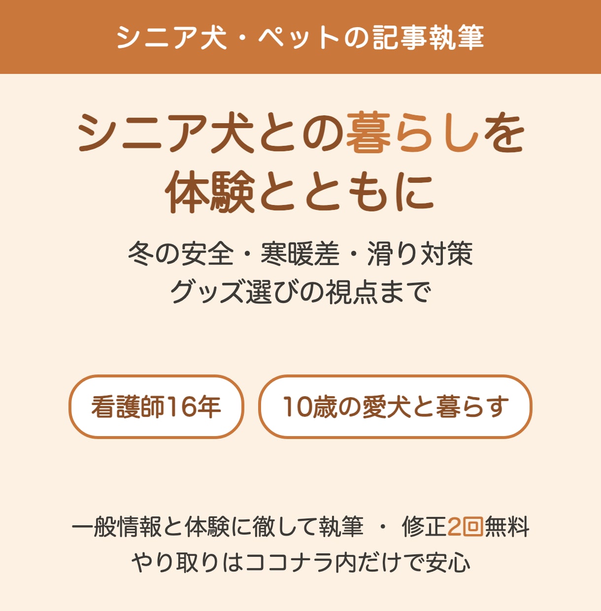 看護師がシニア犬との暮らしの体験記事を書きます シニア犬のあれ？に気づく｜看護16年×愛犬と暮らす イメージ1