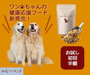 Webバナー制作します 2024年9月末迄◆期間限定！最低価格でご提供します イメージ7