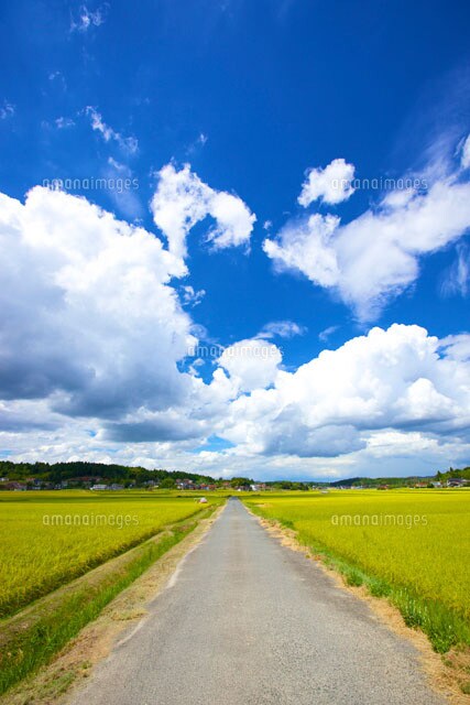 あなたが前向きになる言葉を伝えます 今日からあなたもみんなの太陽に☀️ イメージ1