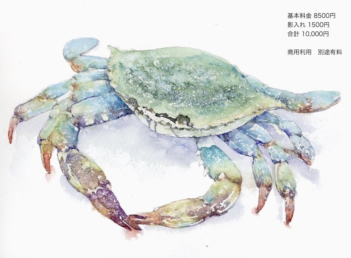 リアルで可愛いペット・生き物のイラストを描きます 挿絵・表紙絵、アイコン、グッズ なんでもご相談ください イメージ7