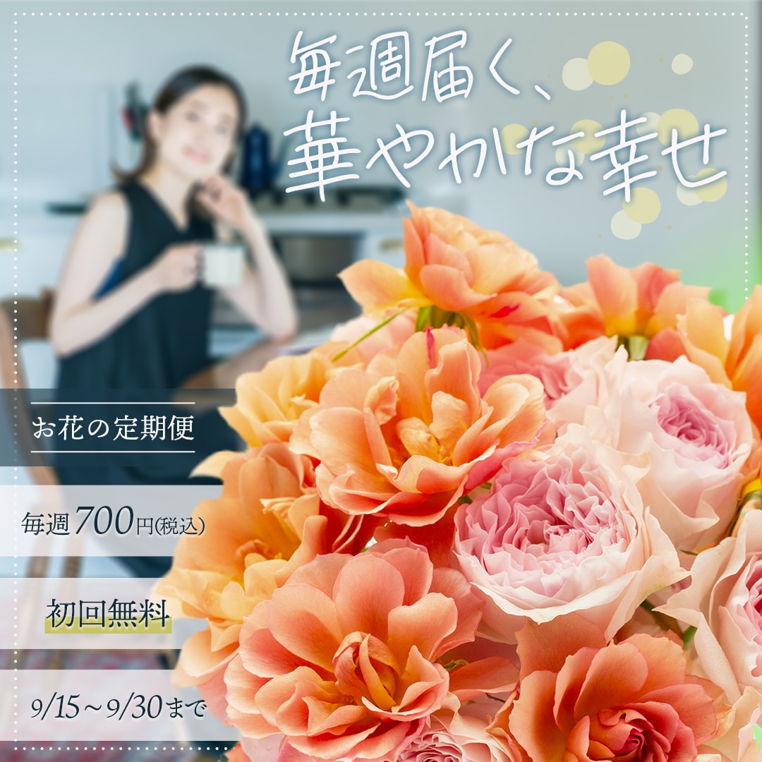 Instagramで使う画像を作成します おまかせもOKです！お好きな雰囲気で作成いたします◎ イメージ2
