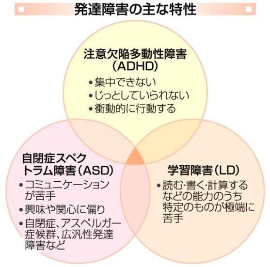 発達障害についてお教えします 発達障害とは？発達障害の子どもをどうやって育てよう？など イメージ1