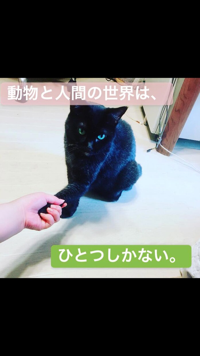 あなたのわかりづらい文章をわかりやすくします バカにもわかる文章、を私に書かせてください イメージ1