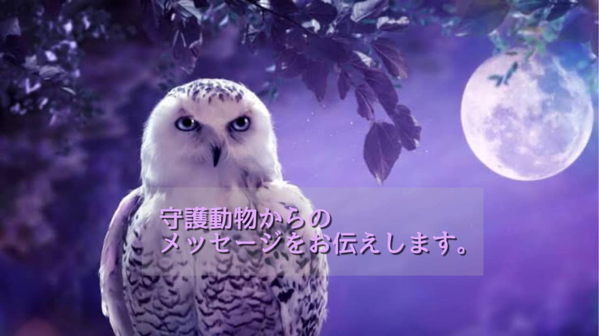 守護動物からのメッセージをお電話でお伝えします 顔写真提出のみ！これからの日々のために。 イメージ1