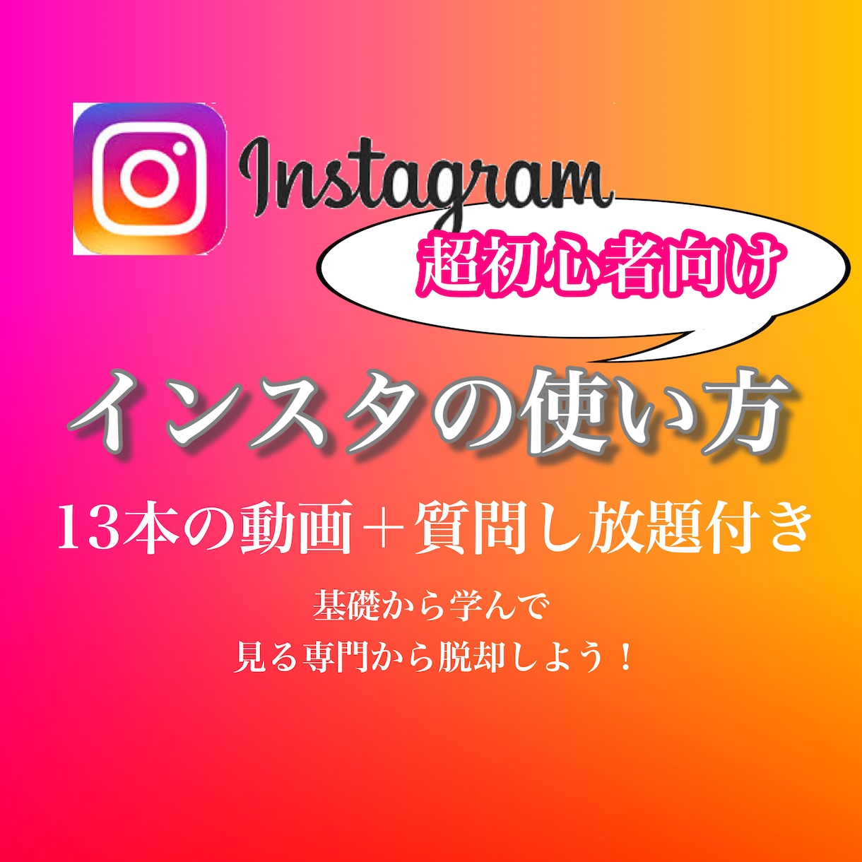 40代以降のインスタ初心者向け！使い方教えます 13本動画／毎日質問し放題の効率的な1ヶ月をサポートします イメージ1