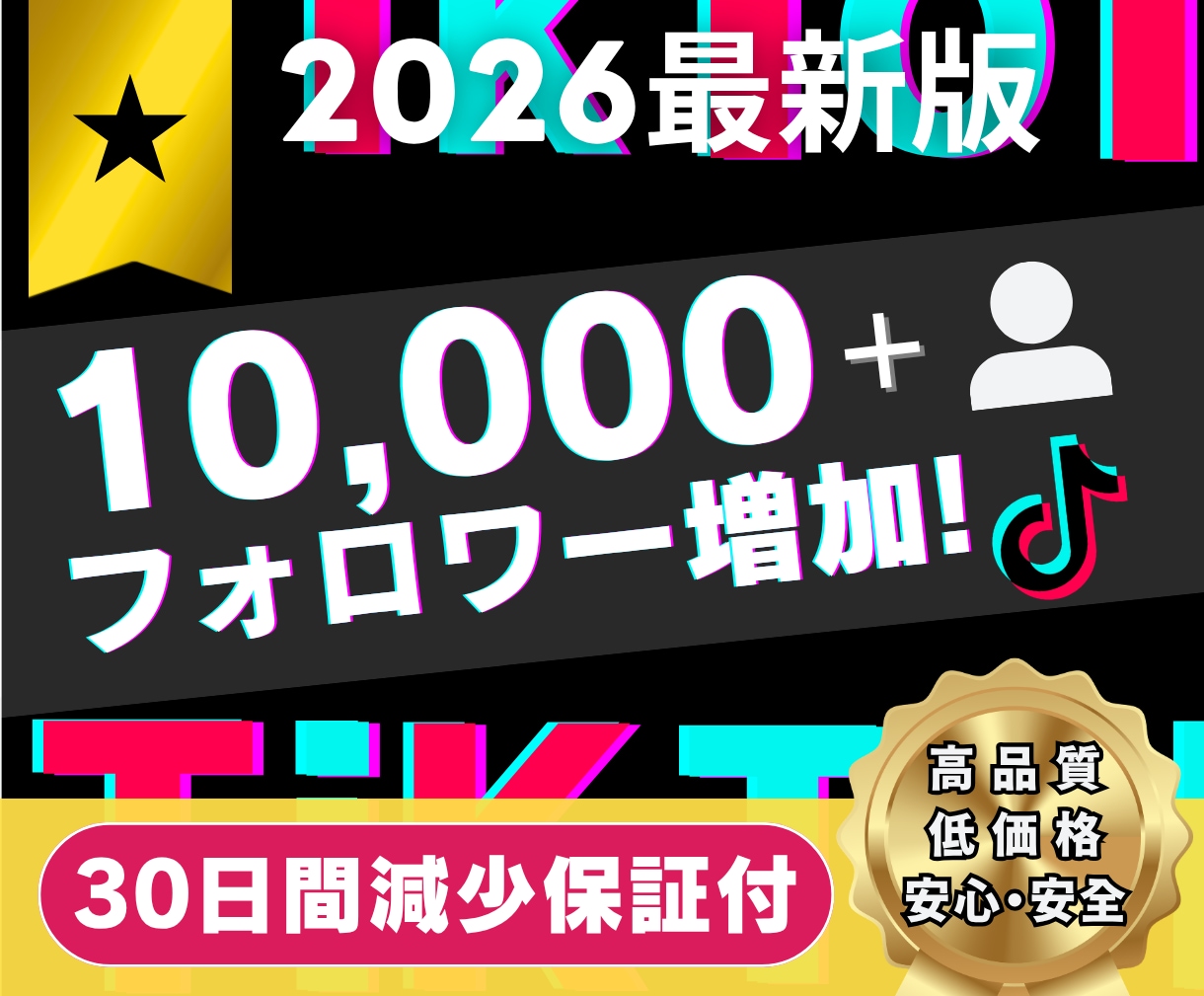 TikTokフォロワー10000人増加させます コスパ◎！安く高品質なフォロワーをあなたにご提供 イメージ1