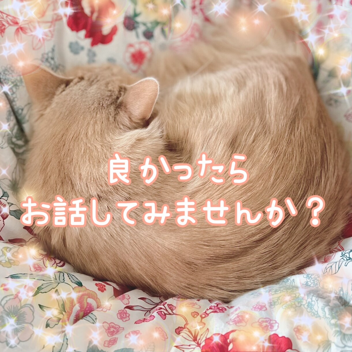 どんなお悩みにも優しく寄り添いタロットで占います 愚痴 相談 モヤモヤ 悩み…良かったら聞かせてください イメージ1