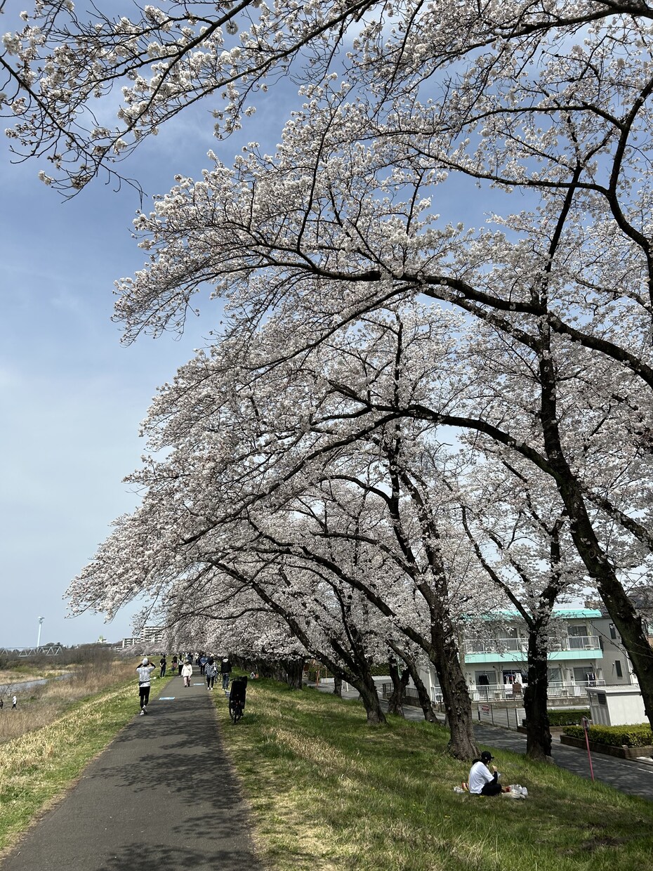 医療事務の方へ。職場での悩みお聞きします 50代医療事務男性です。職場での悩み、愚痴、お聞きします。 イメージ1