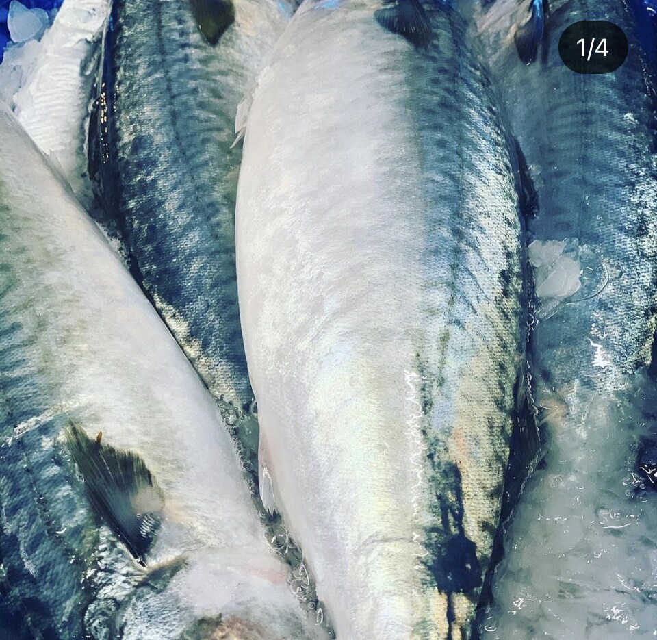 魚介類の目利き、美味しく調理するポイント教えます 魚屋で働き魚介専門店で働いた経験を基に的確なアドバイスを❗️ イメージ3