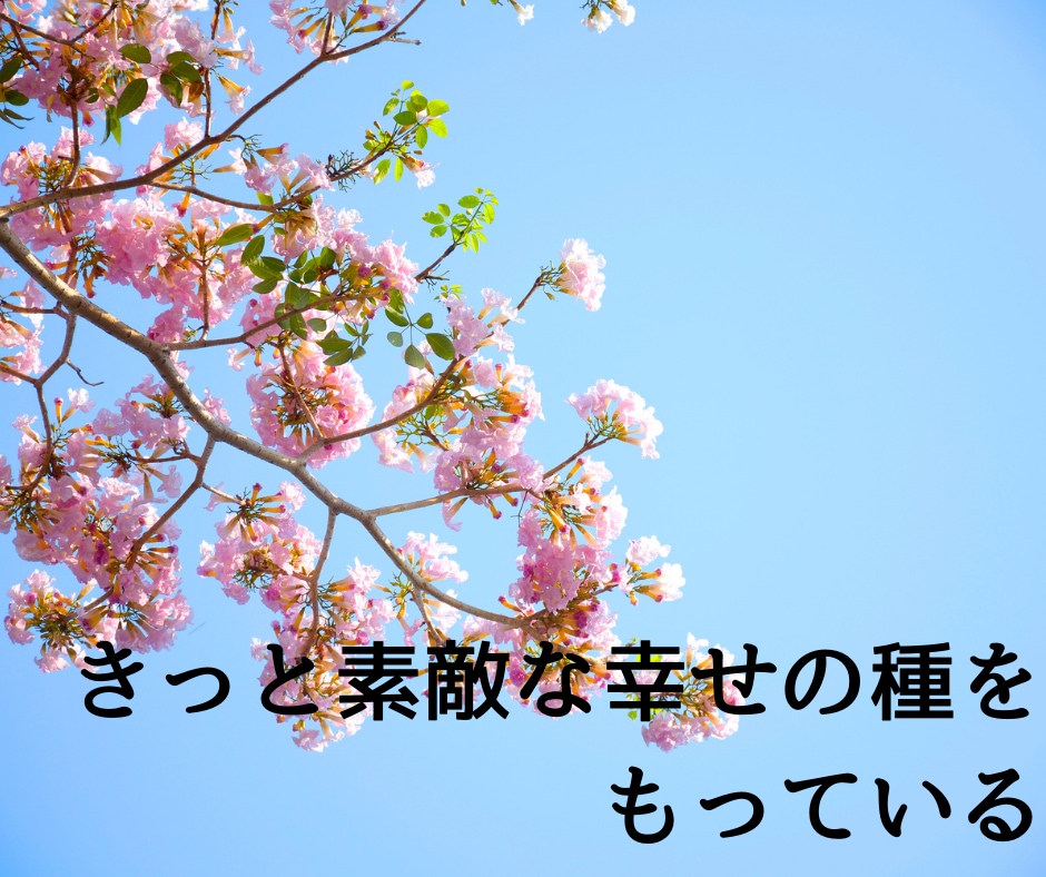 優しさと安心感に定評♡自己肯定感の悩み聞きます 絶対に否定しません。安心して吐き出して、心を軽くしませんか？ イメージ8