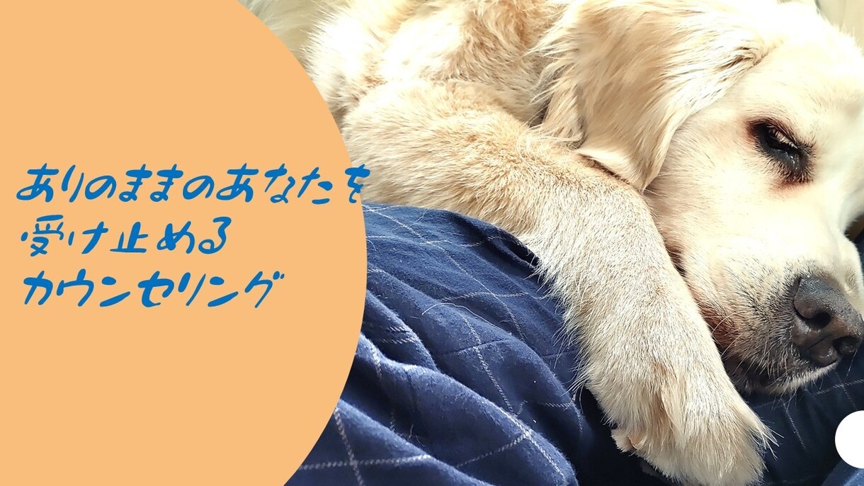 引きこもりの方のお話を聴きます 誰にも話せないことを受け止めます。 イメージ1