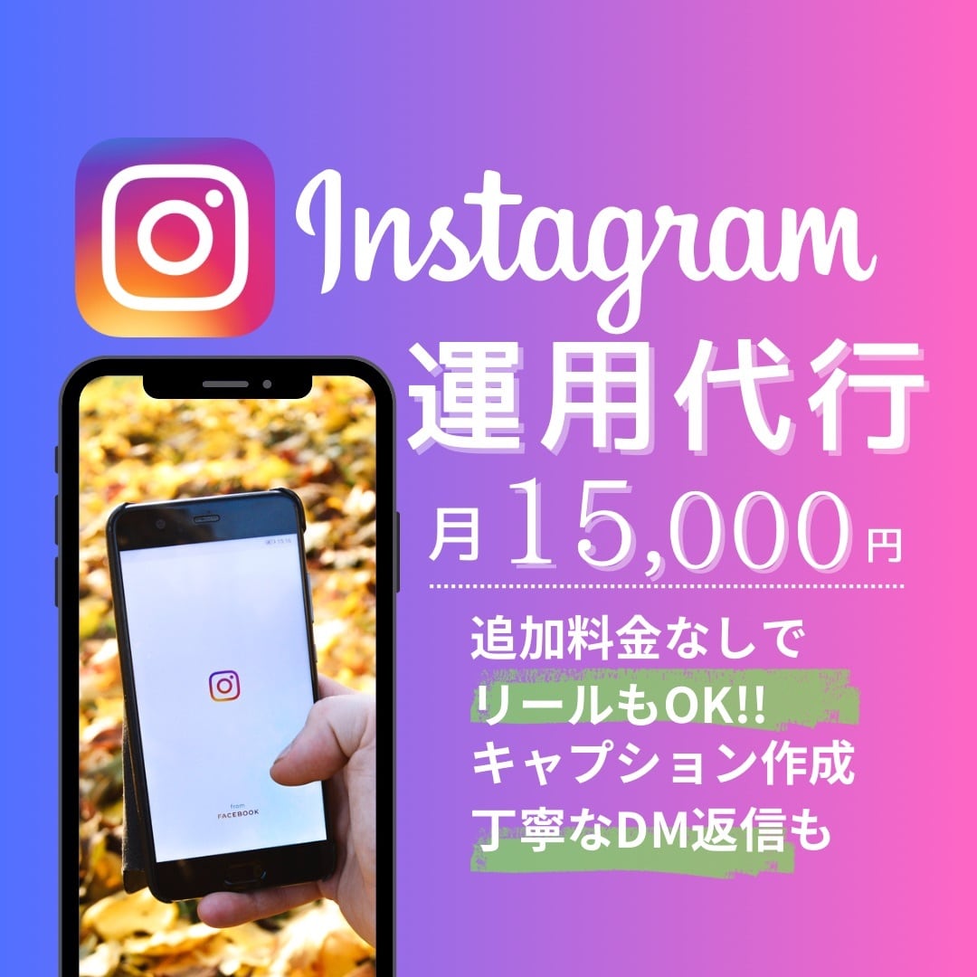 実績30社以上！【¥15,000】で運用代行します プラン内でリールもOK！キャプション、DMもお任せ！ イメージ1