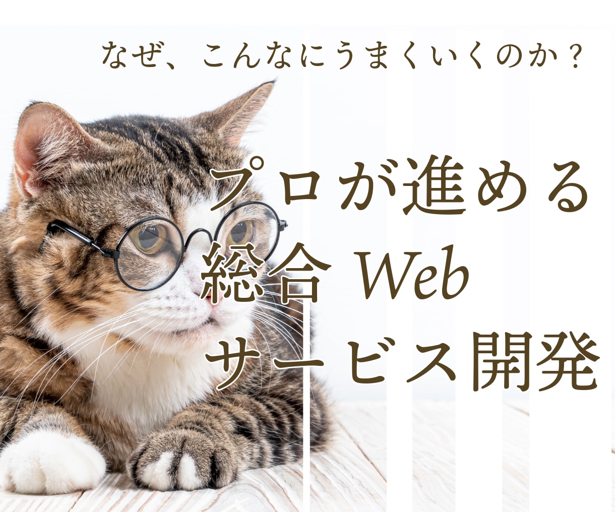 総合的なWebサービス開発をします webサイト,アプリケーション新規開発から既存システムの改修 イメージ2