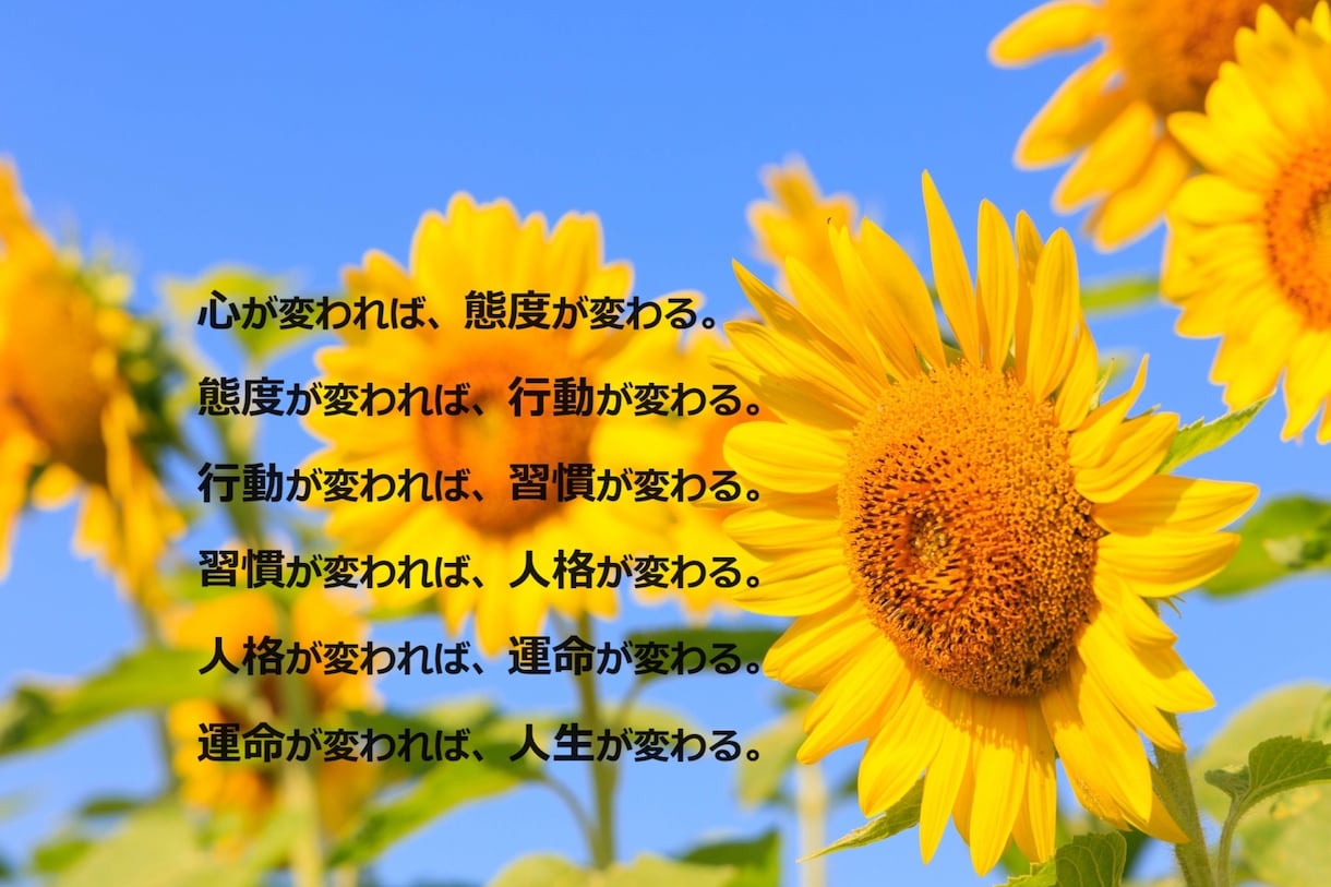 3日間あなたの気持ち・お悩みじっくりお聴きします 解決に向けてすぐできる小さな一歩を一緒に見つけましょう！ イメージ1