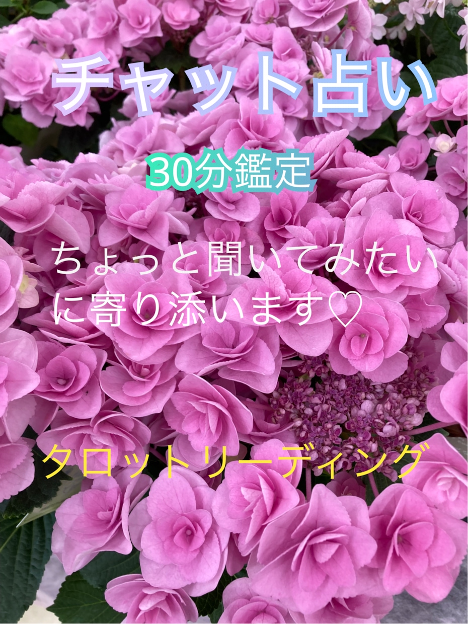 30分チャット鑑定♡ちょっと聞いてみたいを占います 占いとカウンセラーの合わせ技でお悩み解決♪明るい未来へ〜 イメージ1
