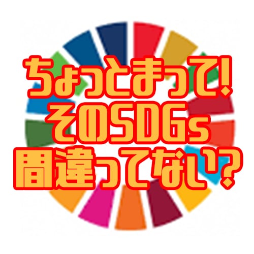 間違ったSDGｓただします 大学講師が正しい表現を行うサポートを提供 イメージ1