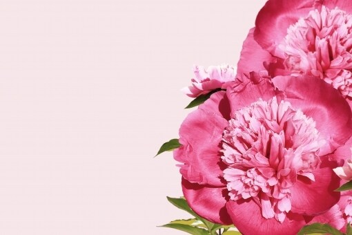 人に言えない恋愛相談聞きます お相手の生年月日、お名前不要です！ イメージ1