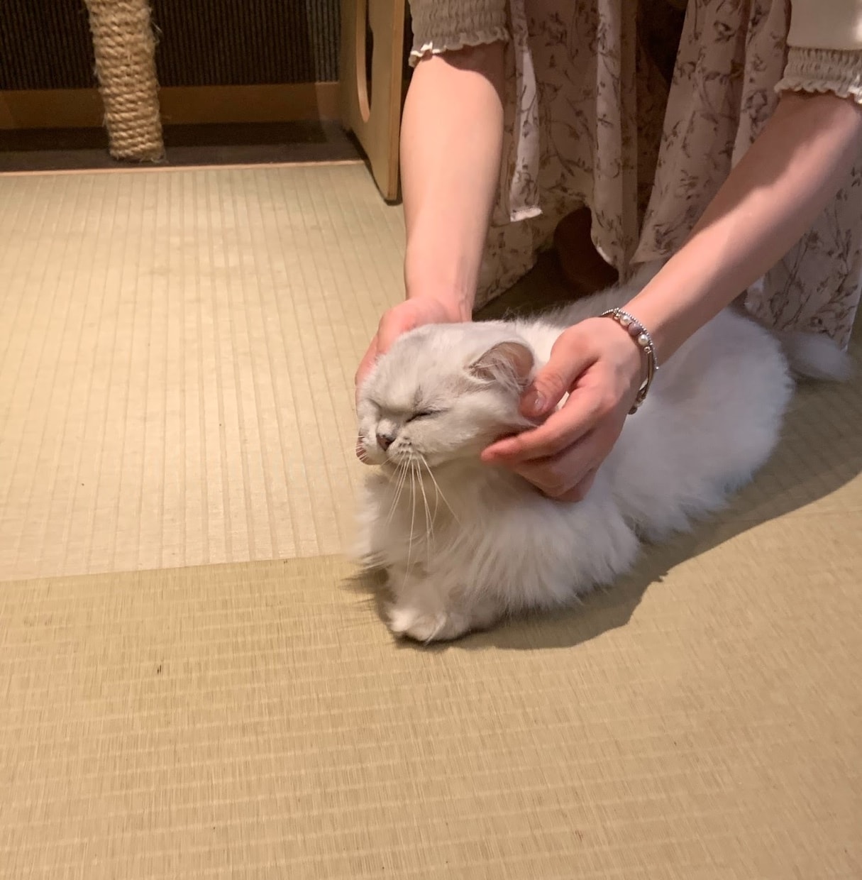 1時間電話  1時間電話で20代主婦がお電話します どんな内容も受けとめ、対応致しますのでぜひ送ってみて下さい✿ イメージ1