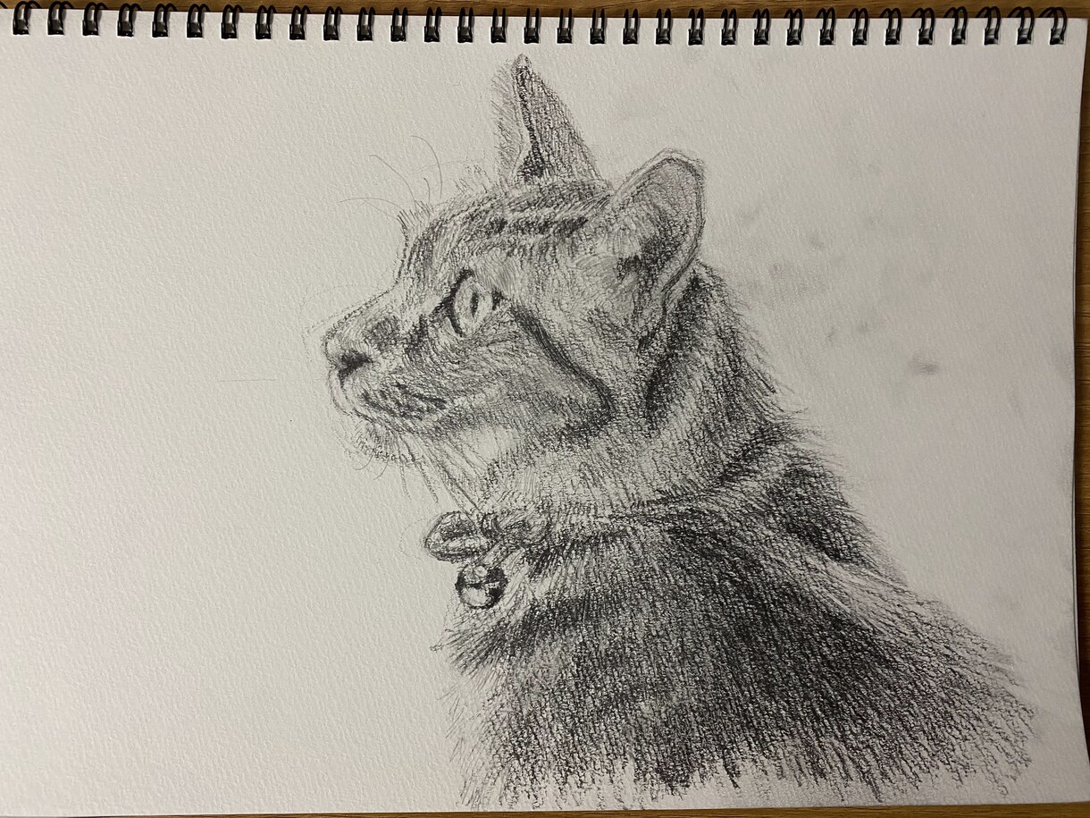 ペット似顔絵　鉛筆やクレヨンで描きます そばにいる、あたたかさをお届けします イメージ7
