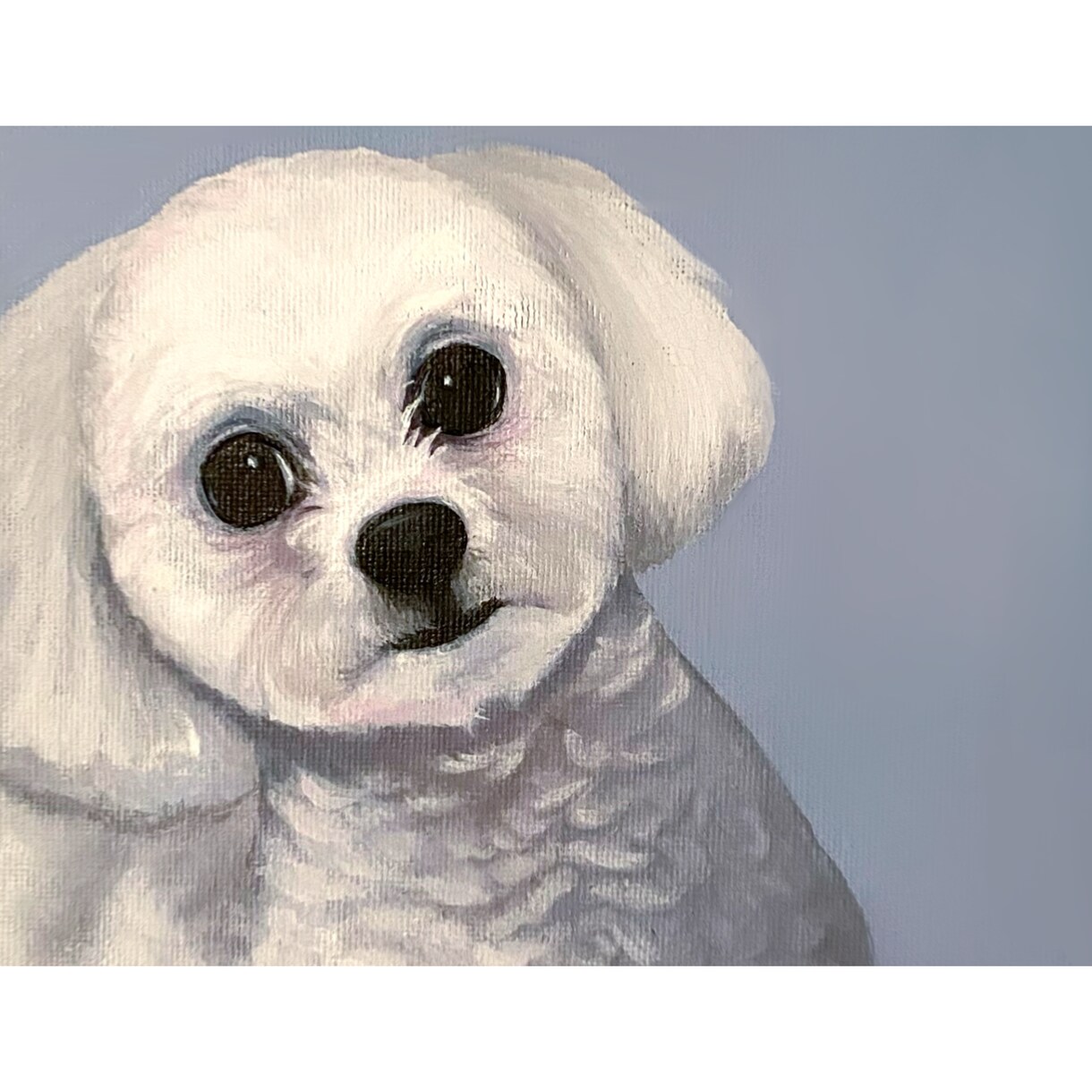 シュールで可愛いペットの似顔絵描きます わんちゃん・猫ちゃん・小動物・爬虫類皆様大歓迎⭐︎ イメージ2