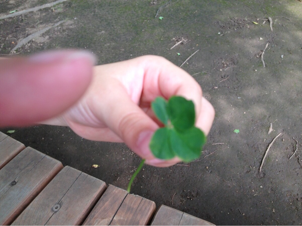 気持ちに寄り添い心の負担を軽くする手伝いを行います ♡心に光を、電話相談で気持ちが軽くなります。 イメージ1